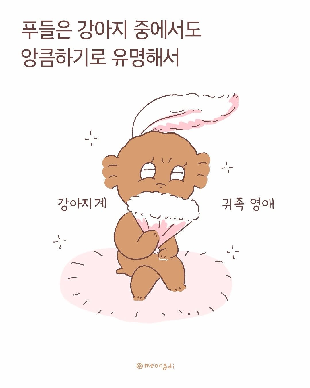 Photo by 멍디 on September 28, 2025. May be an illustration of poster and text that says '푸들은 강아지 중에서도 앙큼하기로 유명해서 강아지계 귀족 영애 C meongdi'.