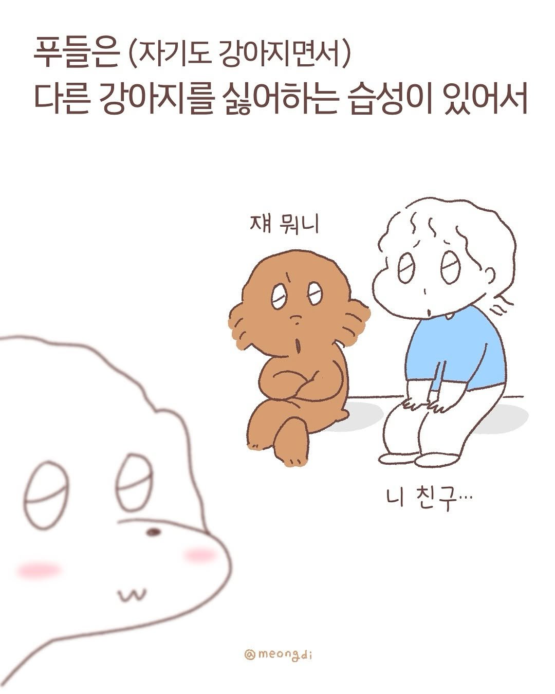 Photo by 멍디 on September 17, 2025. May be a doodle of pie and text that says '푸들은 (자기도 강아지면서) 다른 강아지를 싫어하는 습성이 있어서 쟤 뭐니 니친구· 니 meongdi'.