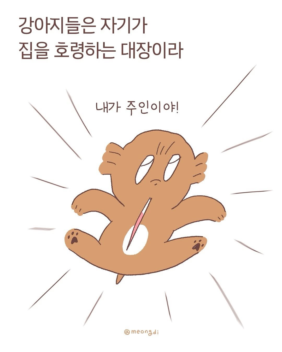 Photo by 멍디 on August 13, 2025. May be a doodle of bear, pie and text that says '강아지들은 자기가 집을 호령하는 대장이라 내가 주인이야! meongdi'.