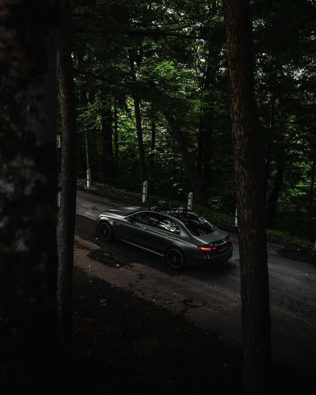 A sleek, dark gray sedan is parked on a winding road surrounded by lush green trees. The vehicle is positioned slightly to the right, with distinct red brake lights. The scene is dimly lit, emphasizing the rich foliage and shadows in the forest.