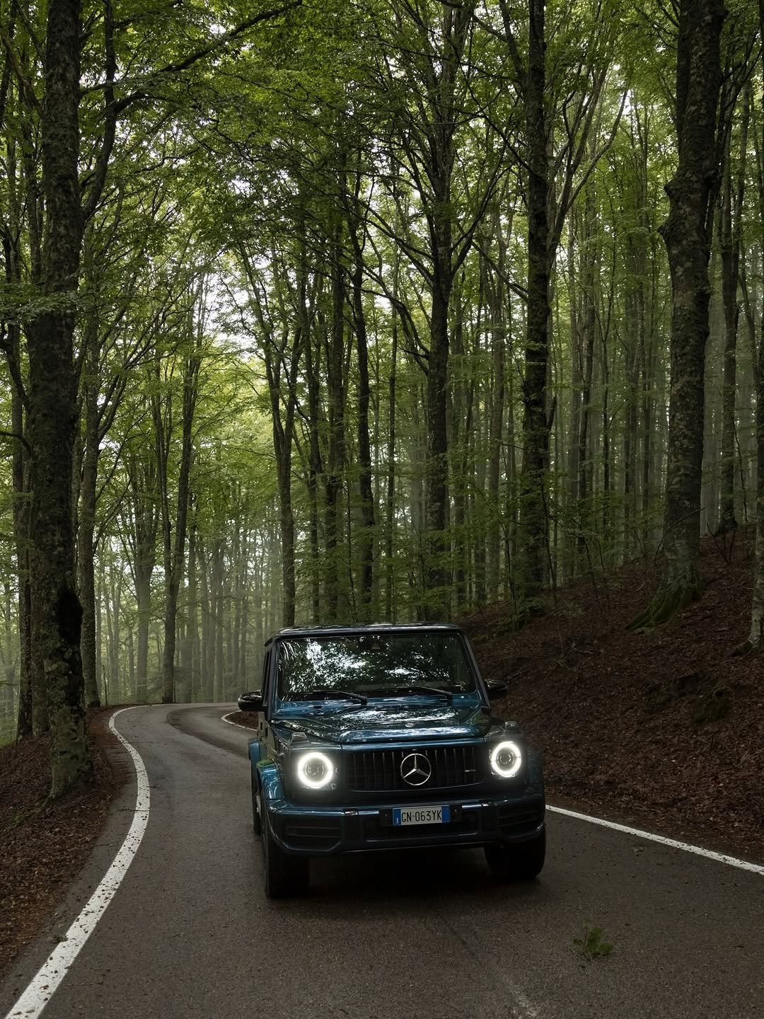 A blue SUV drives along a winding road in a densely wooded area. The car's headlights are on. Tall trees line the road, creating a tunnel-like effect.