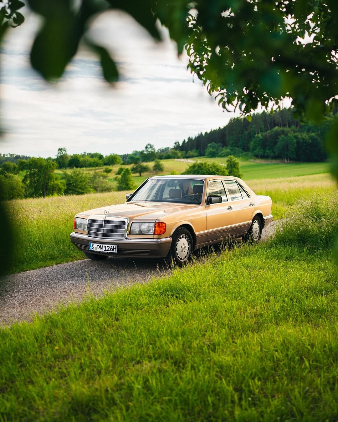 A golden Mercedes-Benz, license S PW 126H, is parked on a narrow road, surrounded by green grass, beneath trees, on a slightly overcast day.