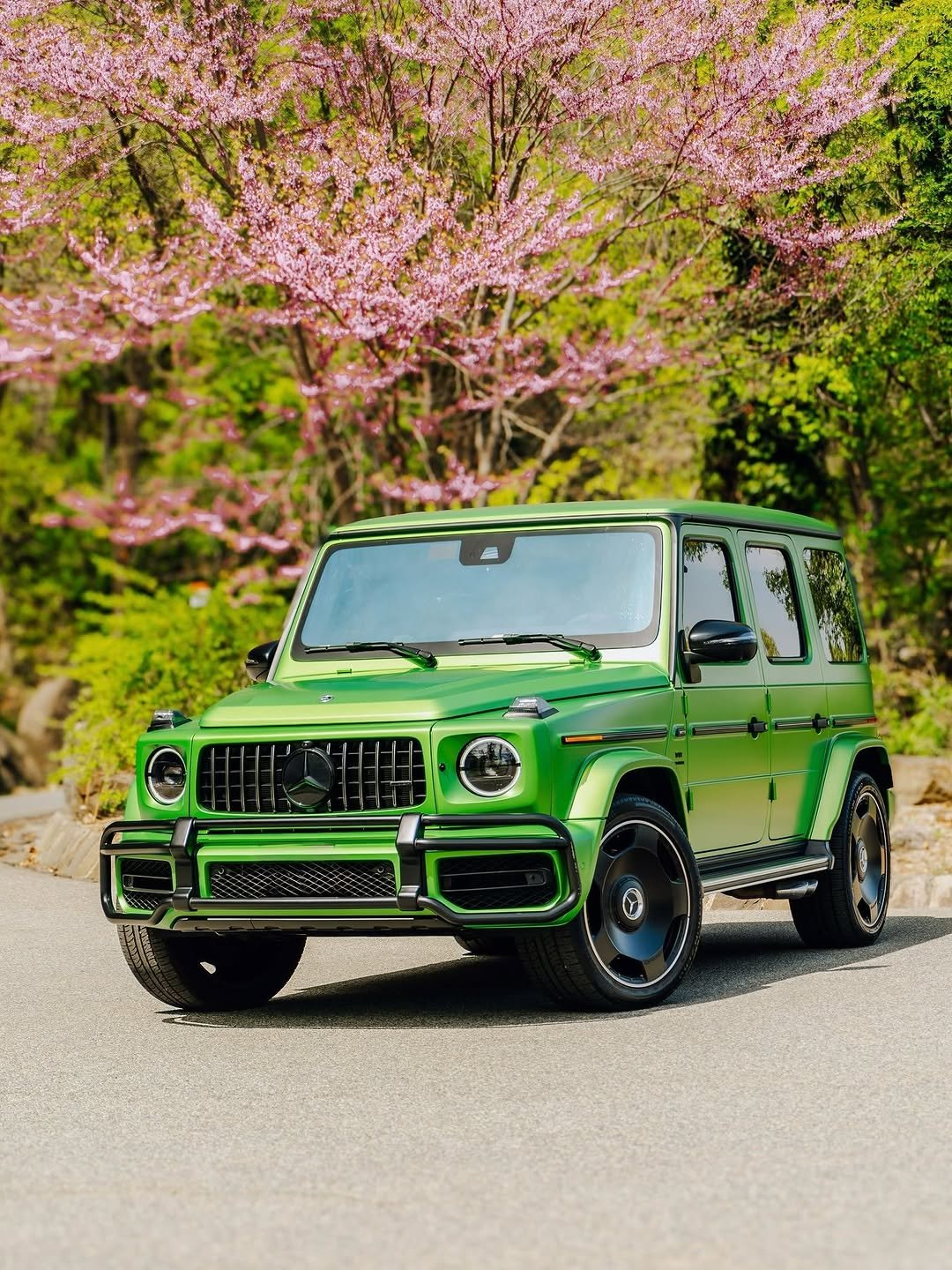 Vibrant matte green Mercedes-Benz G-Wagon parked on an asphalt path. Behind it, lush green trees are adorned with abundant pink blossoms under a bright, sunny sky.