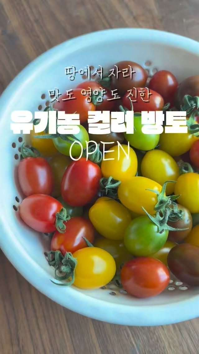 merci_la_foret 게시물 이미지: 🍅추가 확보 수량까지 모두 품절입니다. 너무 빨리 품절되서 놀랐습니다. ㅠㅠ...