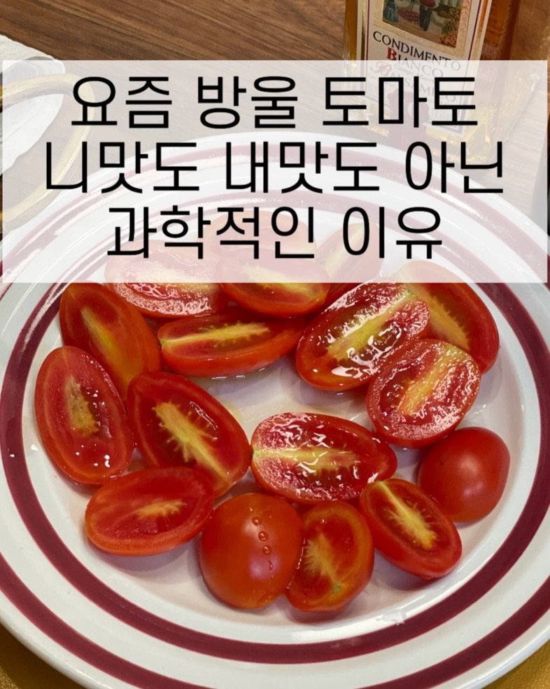 merci_la_foret 게시물 이미지: 📣품절되었습니다🙏🏻
2년 전에 한 번 소개했지만 사실 잘 되지 않았어요. 😅...