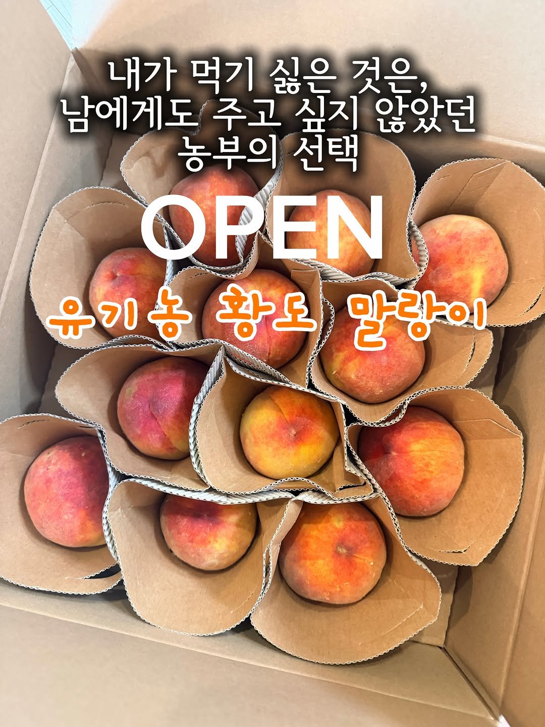 merci_la_foret 게시물 이미지: 솔직히 말씀드리면, 처음엔 이 공구 망설였어요. 🍑
아무리 유기농이어도, 맛이...