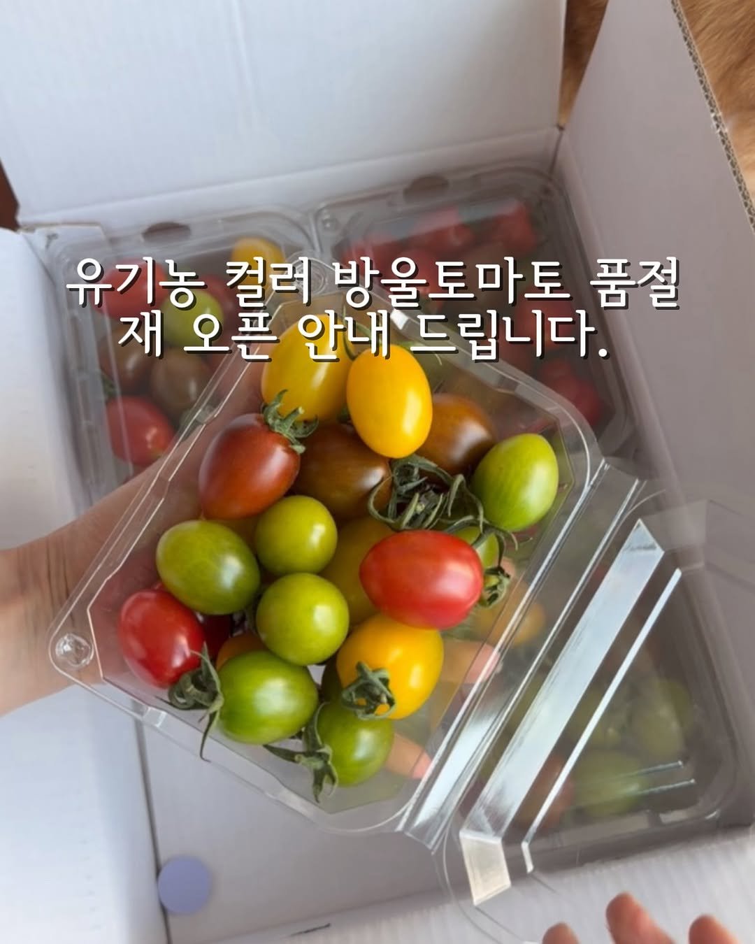 merci_la_foret 게시물 이미지: 감사합니다. 오픈 1시간 만에 준비한 수량을 훌쩍 오버해서 
빠르게 품절이...