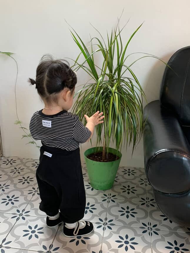 Photo by 메르모던(me.mo.b) on August 16, 2025. May be an image of 1 person, baby, standing, house plant and text.