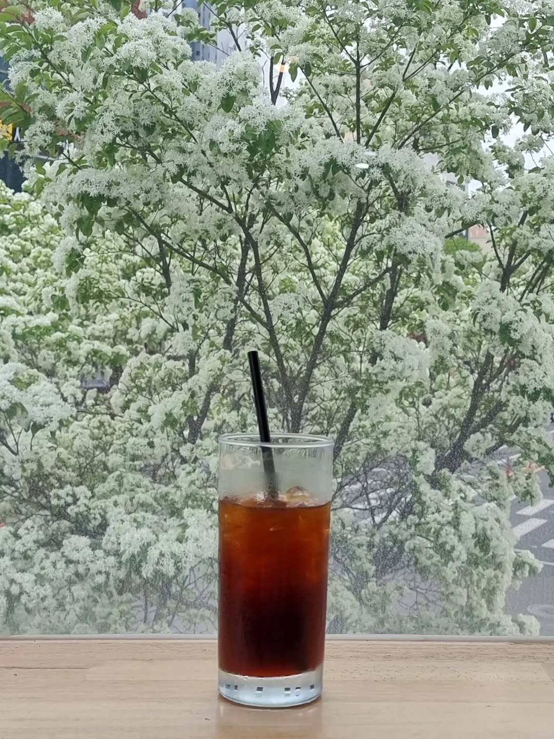 Photo by merry J on April 19, 2026. May be an image of drink, cornflower, stone-fruit tree and text.