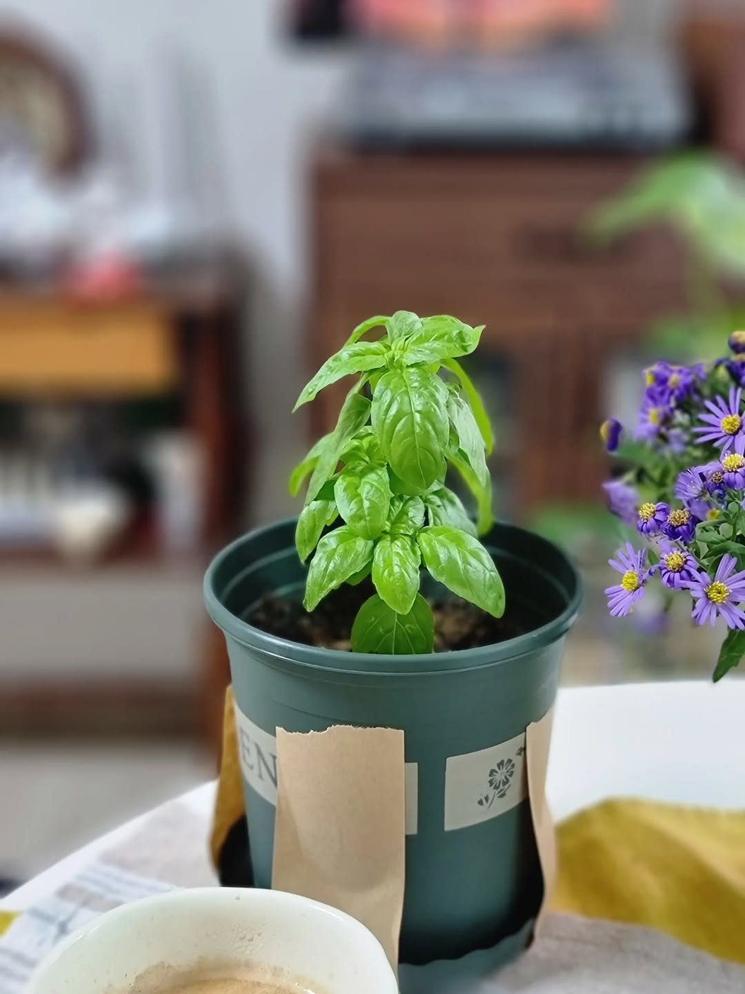 Photo by merry J on November 07, 2025. May be an image of coffee cup, coffee, tea, herb and text.