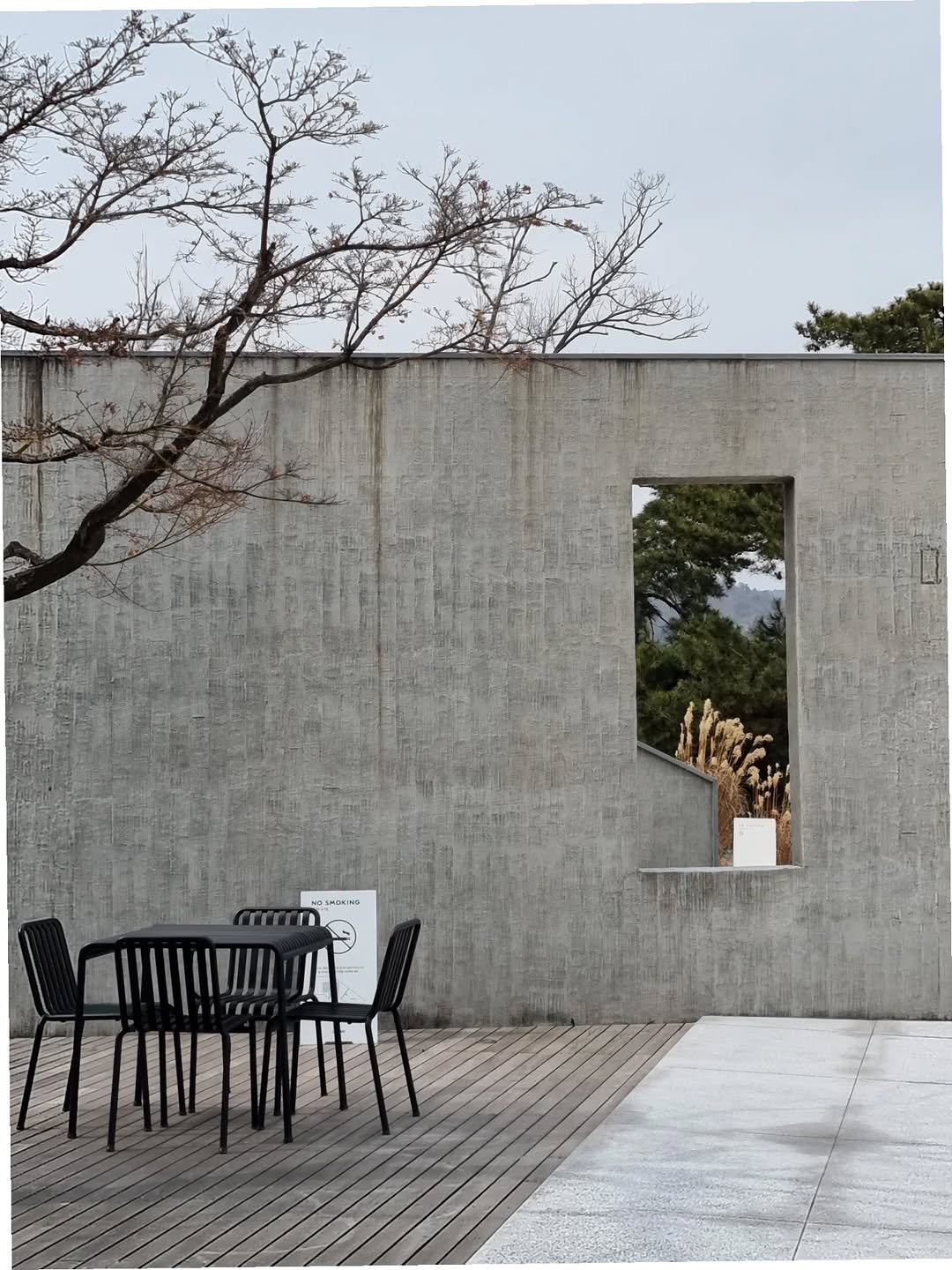 Photo by merry J on February 14, 2026. May be an image of deck chair, outdoors and text.