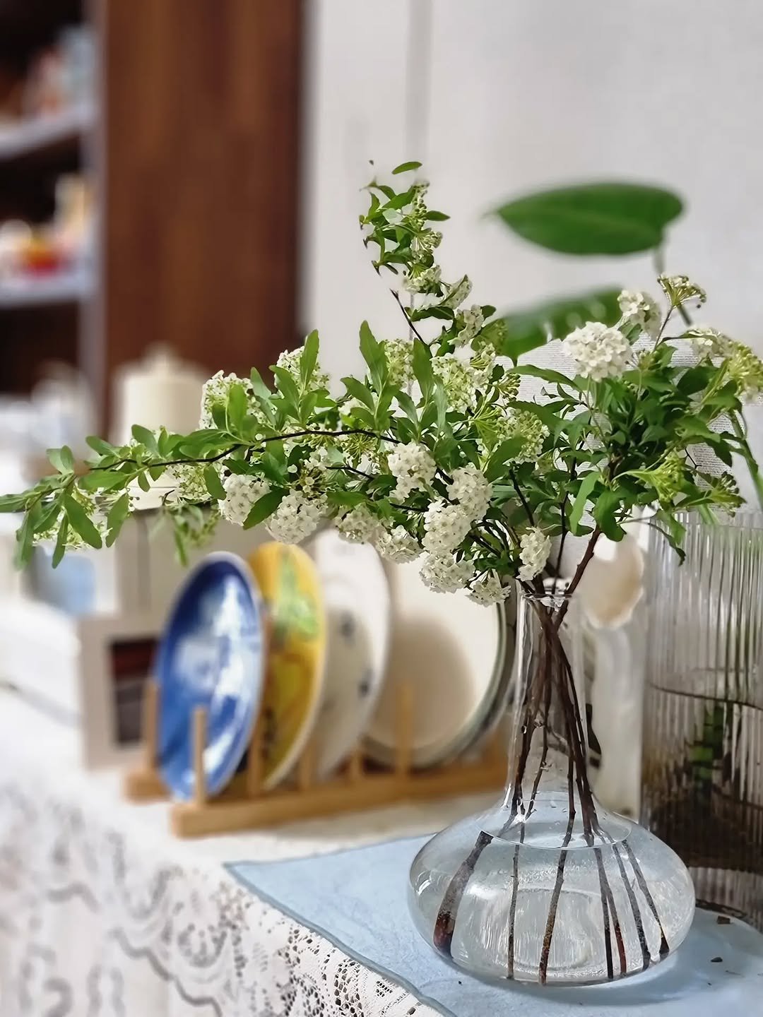 Photo by merry J on April 24, 2026. May be an image of plate rack, vase, flower arrangement, scorpion grass, mistletoe cactus, baby's-breath, ivy, globe amaranth and text.