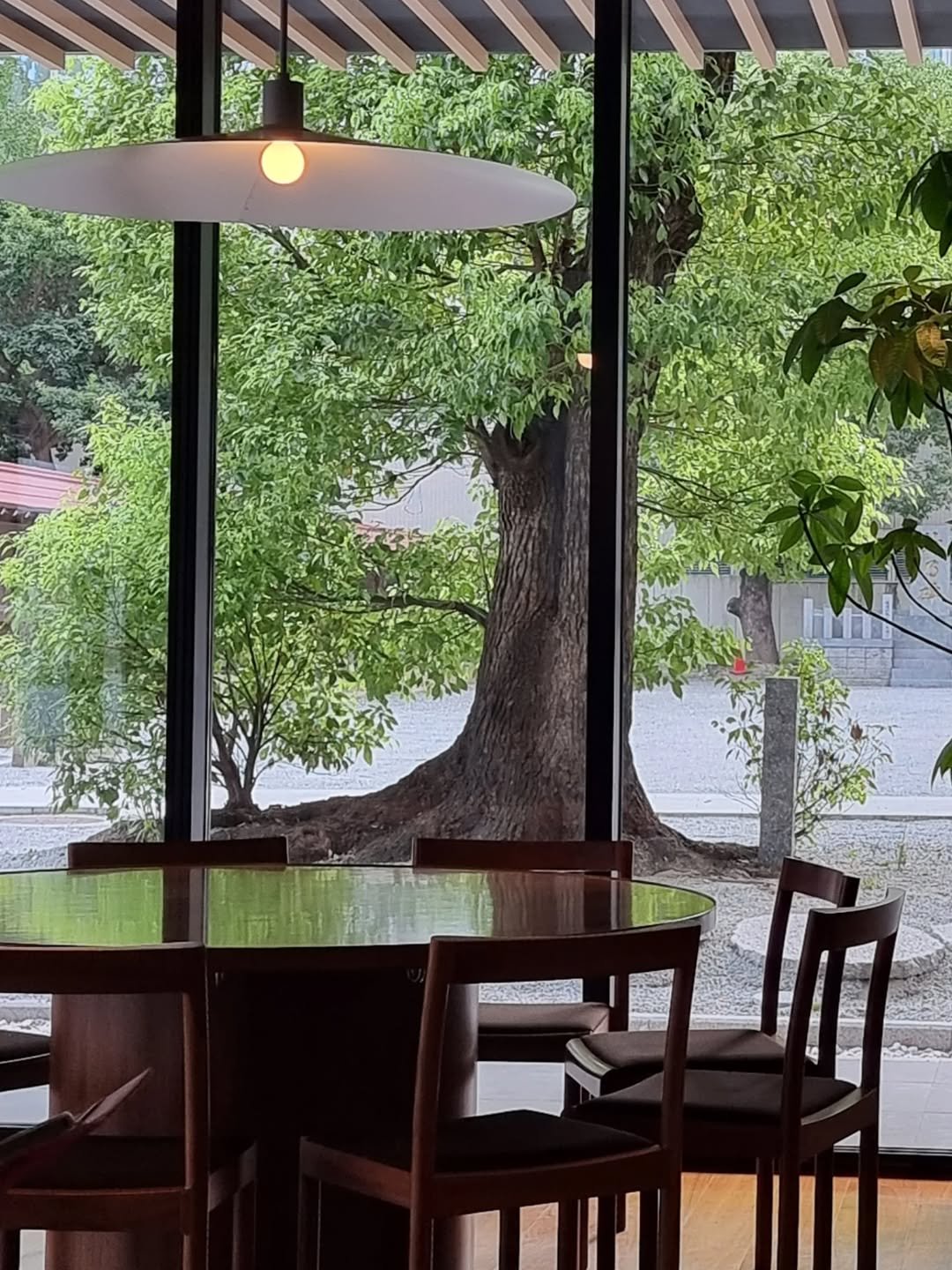 Photo by merry J on September 14, 2025. May be an image of lighting, dining table, indoors and text.