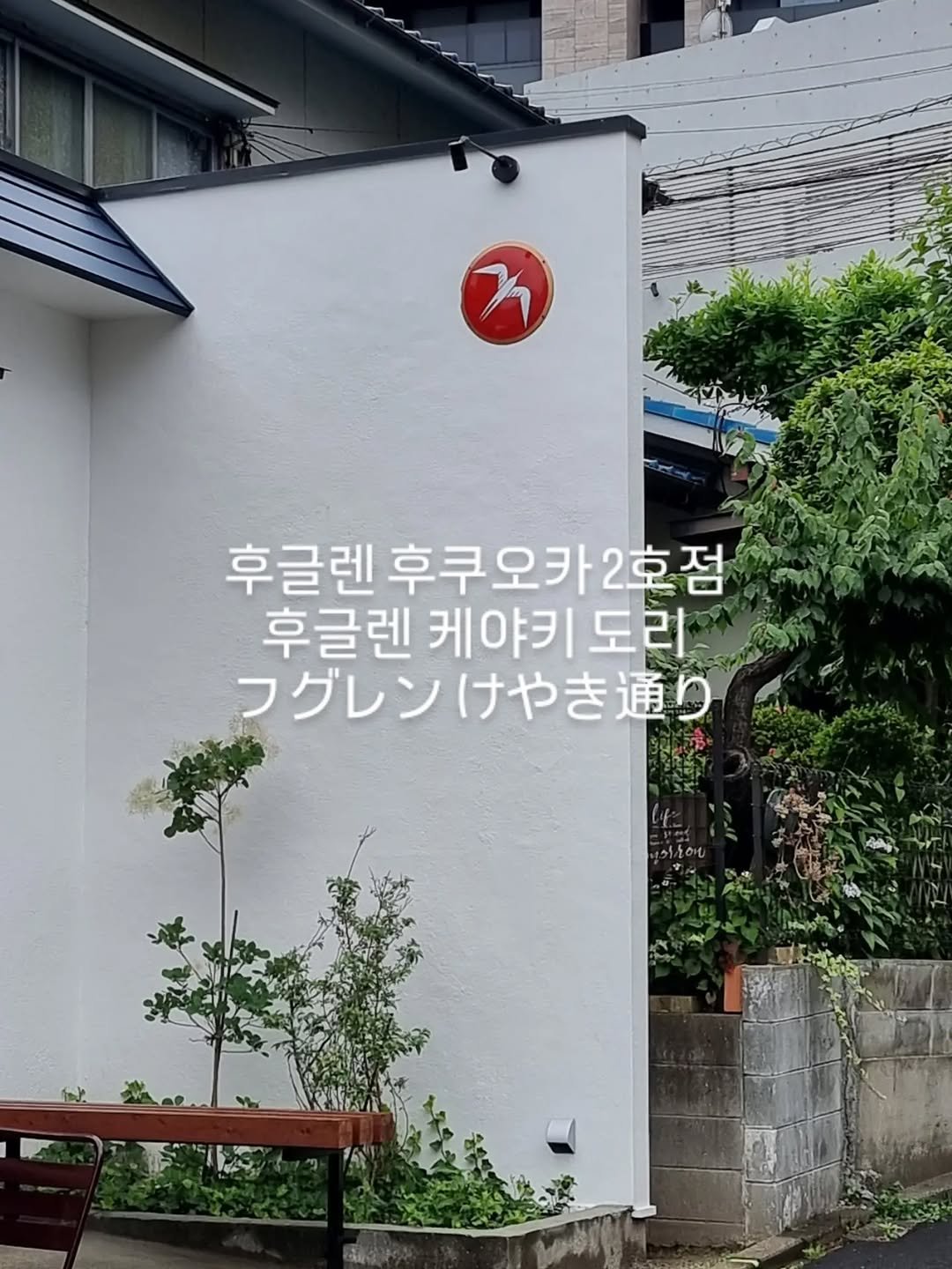 merryj_story 게시물 이미지: .
따끈따끈한 신상카페.
후글렌 케야키 도리フグレン けやき通り
.
노르웨이에서...