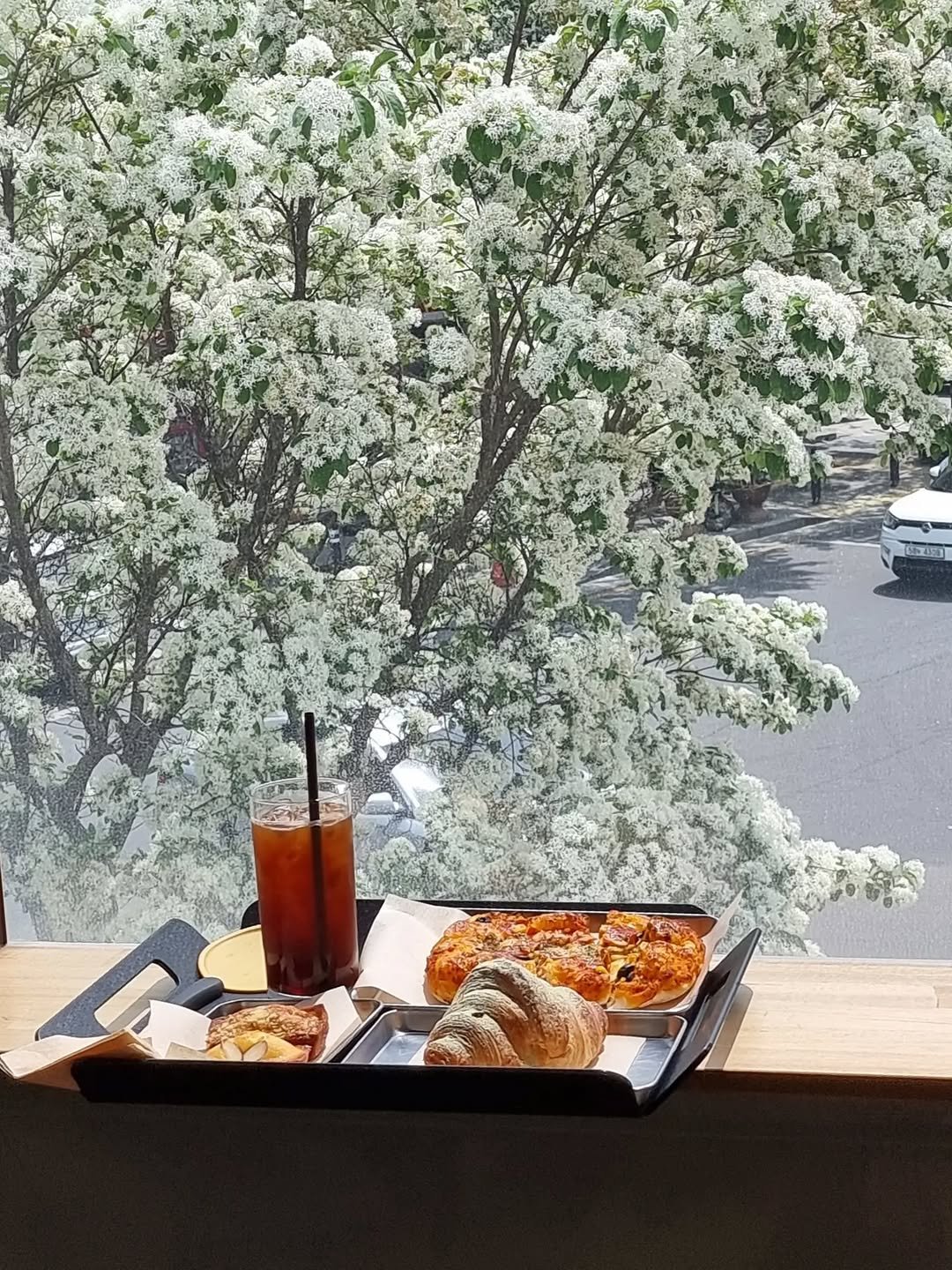 Photo by merry J on April 28, 2026. May be an image of stone-fruit tree and text.