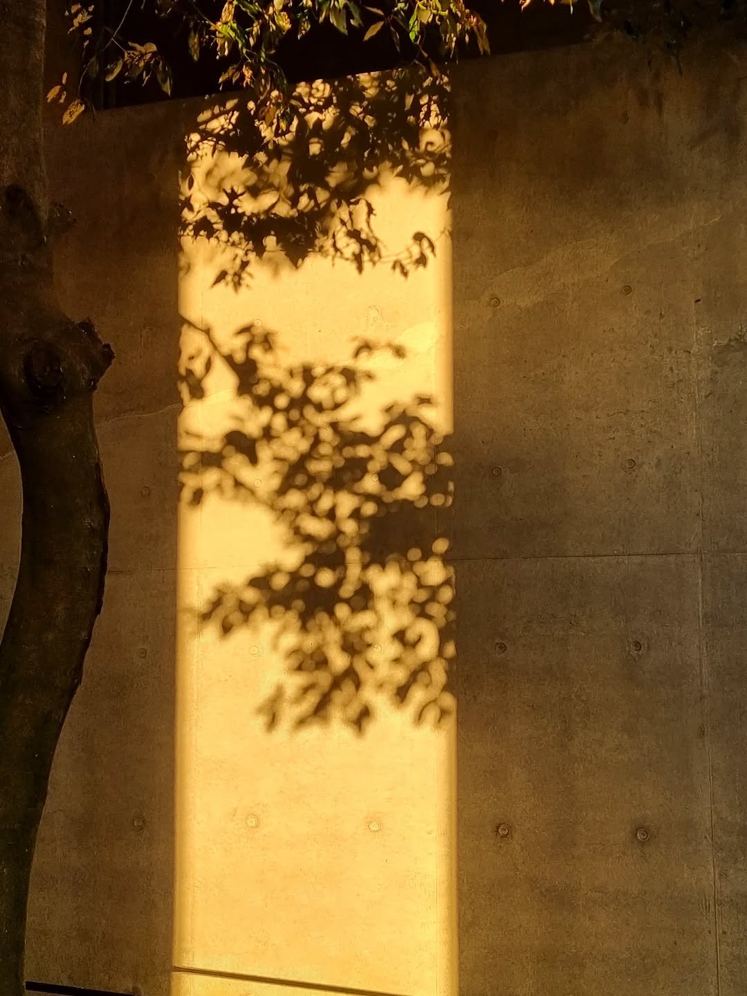 Photo by merry J on November 13, 2025. May be an image of text.