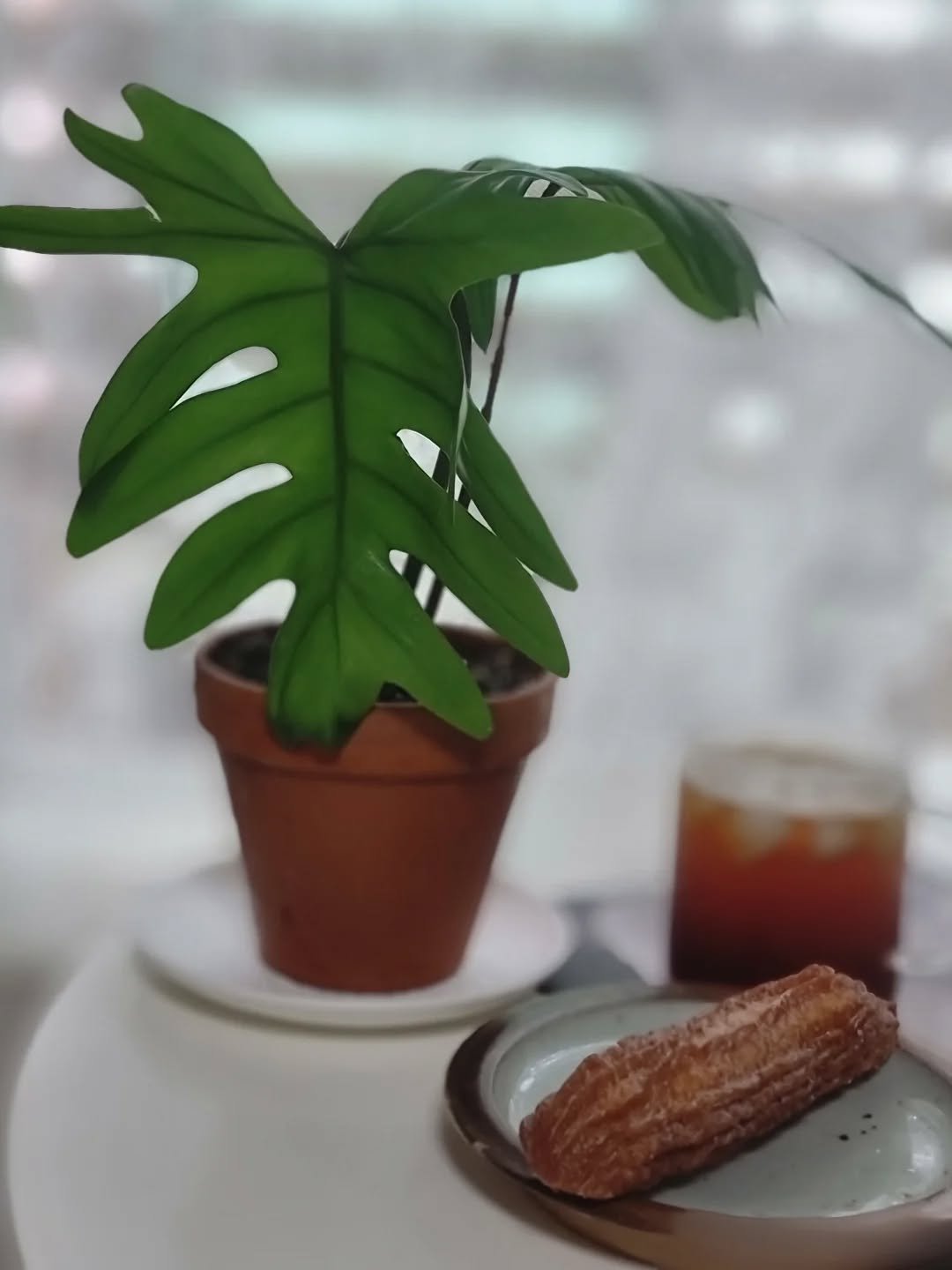 Photo by merry J on September 24, 2025. May be an image of house plant and text.