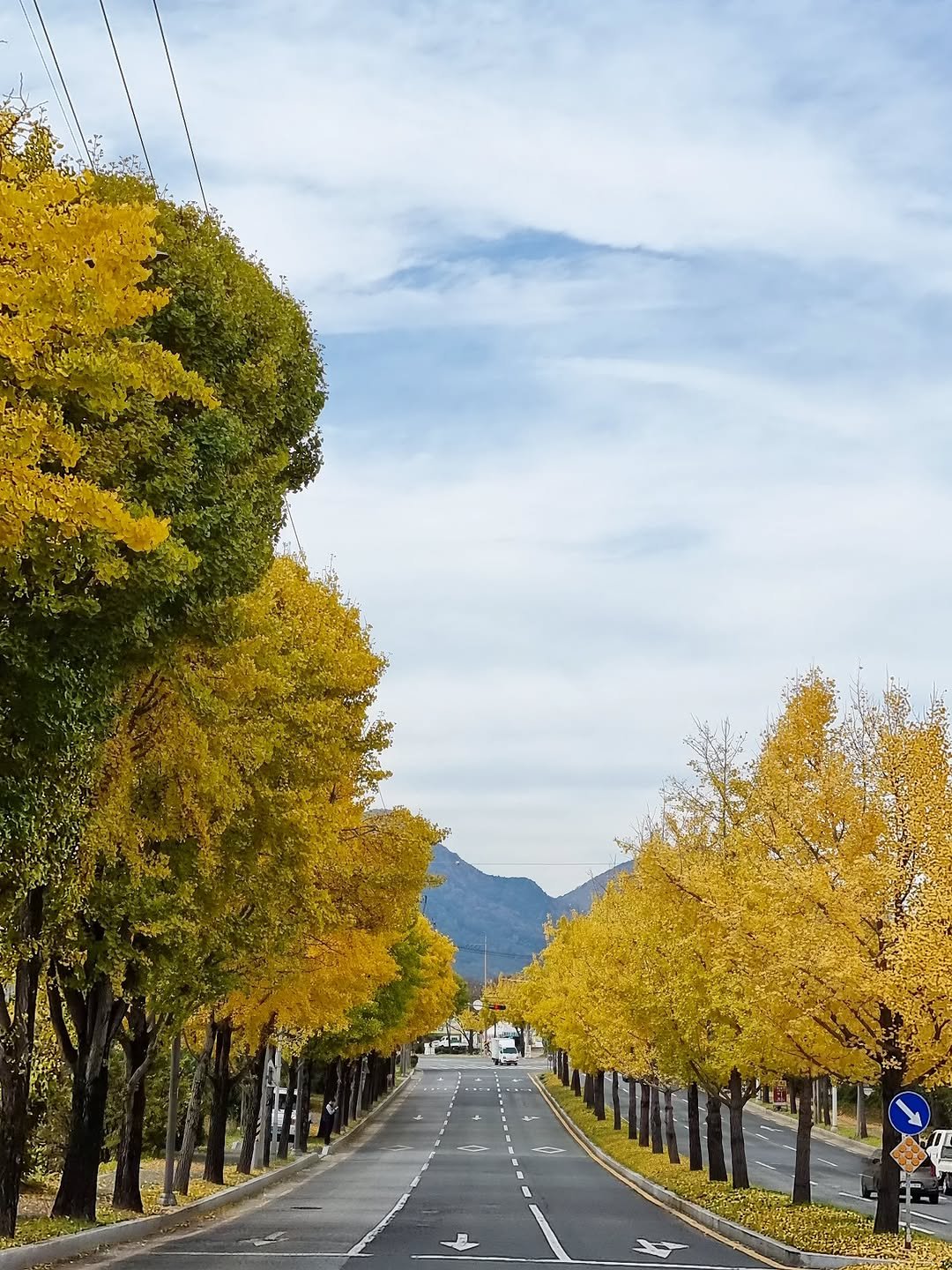 Photo by merry J on November 12, 2025. May be an image of street, road and text.