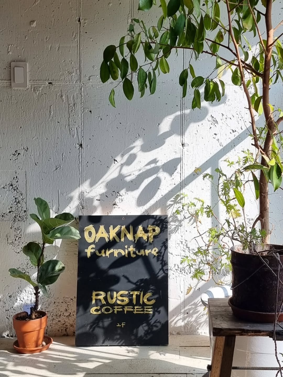 Photo shared by merry J on January 29, 2026 tagging @oaknap_rustic. May be an image of poster, house plant and text that says 'ΟΆΝΑΡ OAΚΙ f orniture RUSTIC COFFEE COFFEE'.