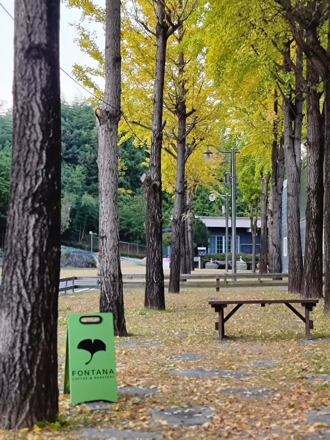 Photo by merry J on November 07, 2025. May be an image of umbrella, maple leaves, park and text.