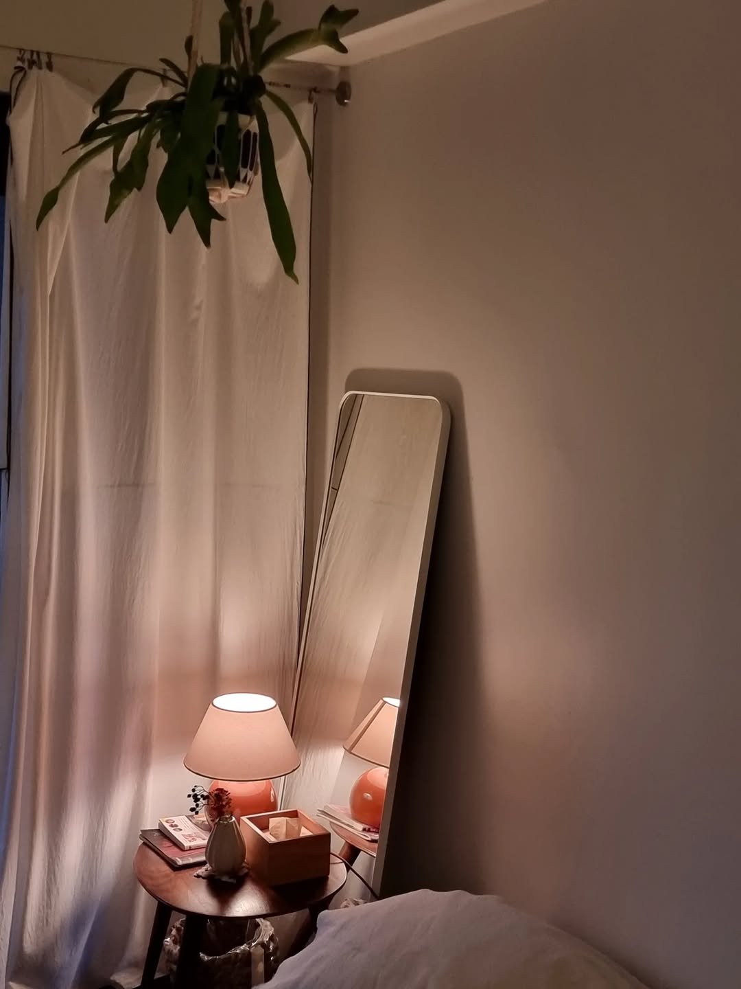 Photo by merry J on August 22, 2025. May be an image of house plant, mistletoe cactus, indoors, bedroom and text.