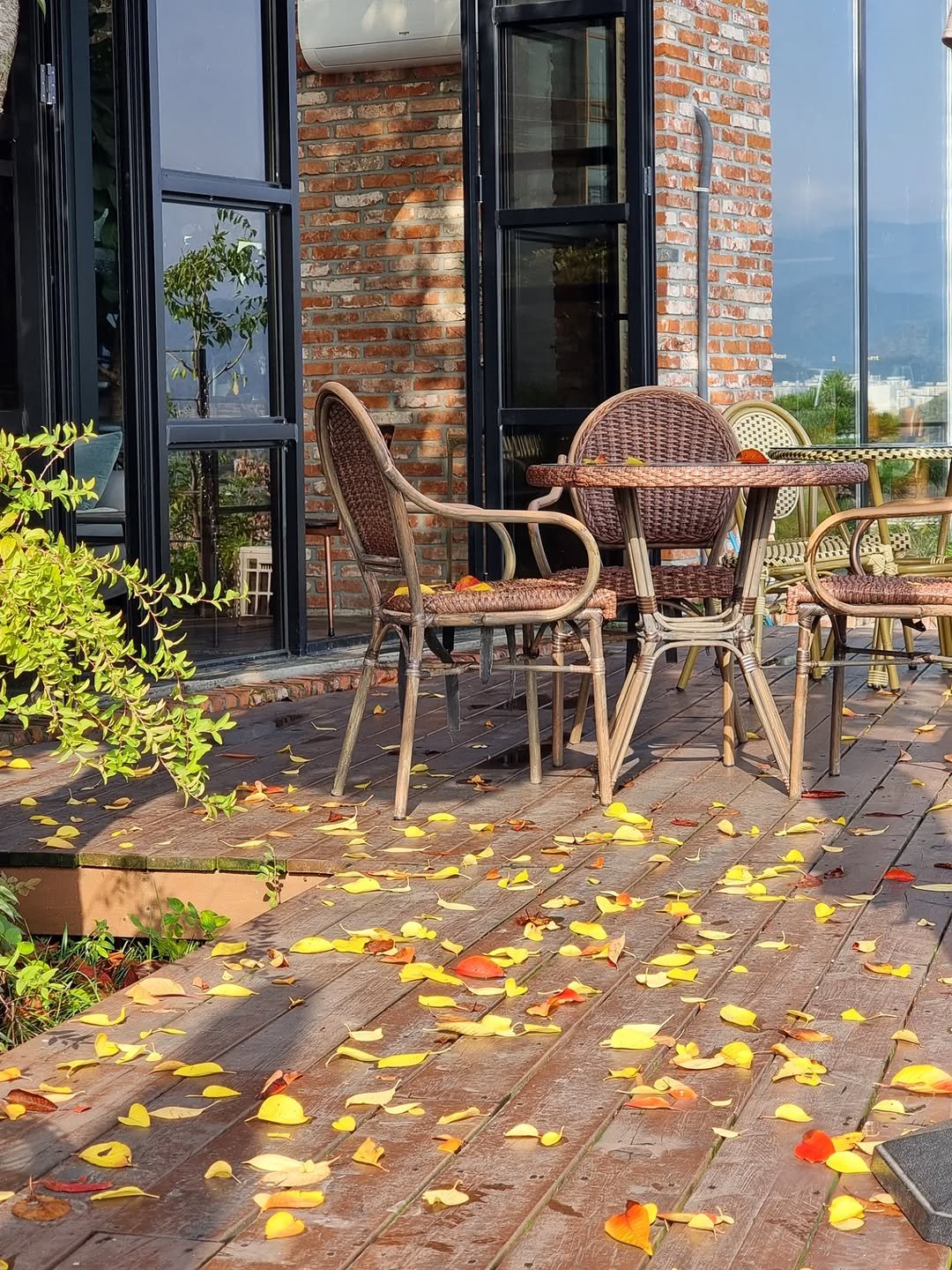 Photo by merry J on November 08, 2025. May be an image of outdoors, window and text.