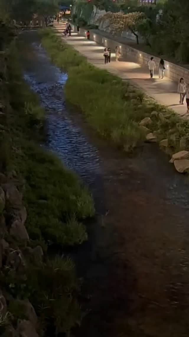 merrylevy_c 게시물 이미지: 처엉계천✨️