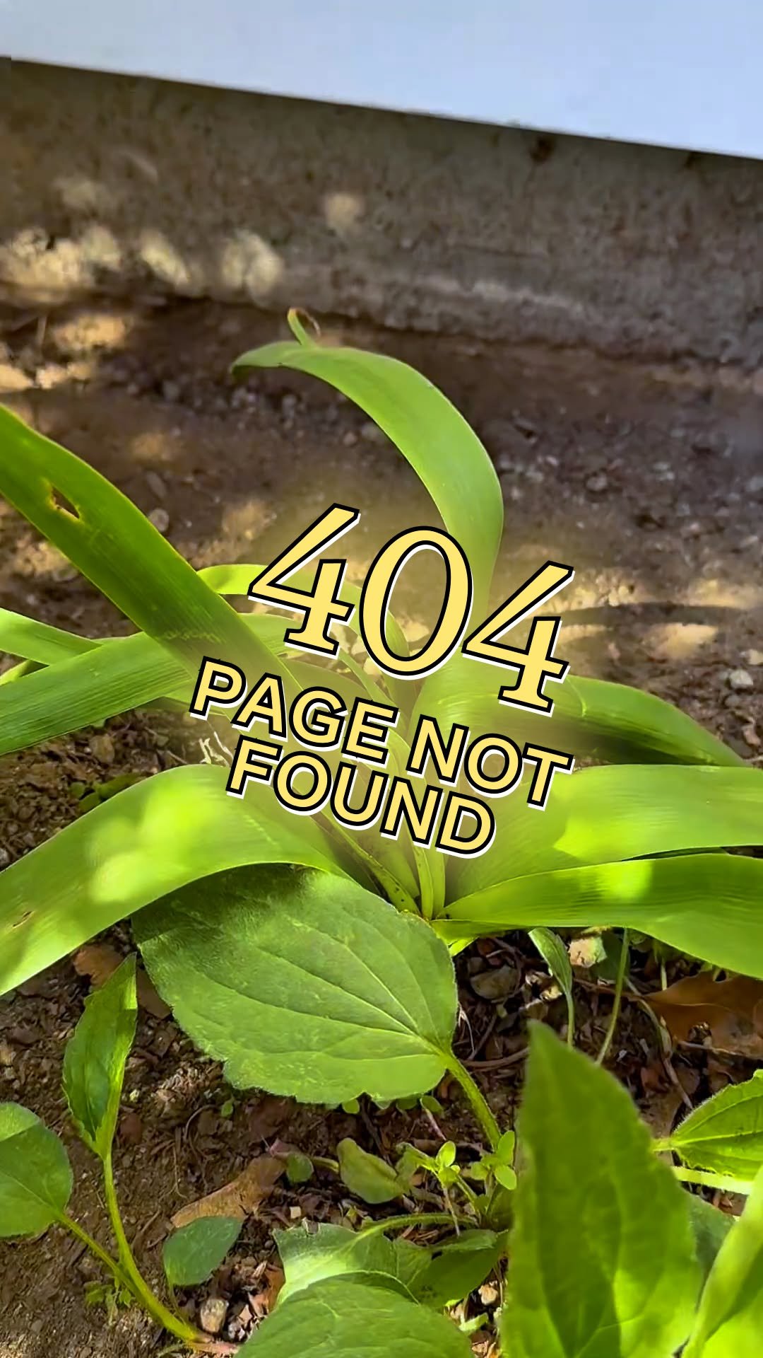 meta 게시물 이미지: weeds are no match for @meta.ai