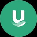 unest 프로필 사진