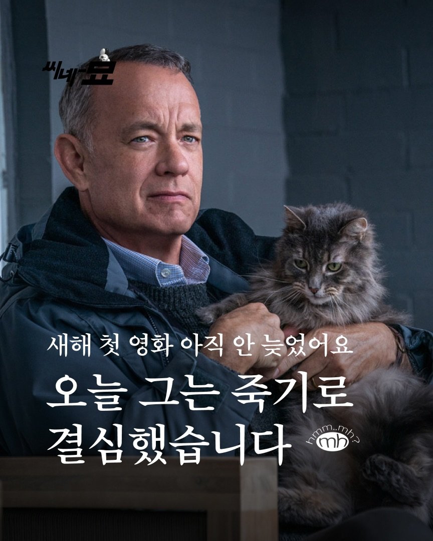 Photo by 뉴스레터 ㅁㅎ(mh) on January 14, 2026.