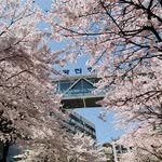 gwangjinlib 프로필 사진