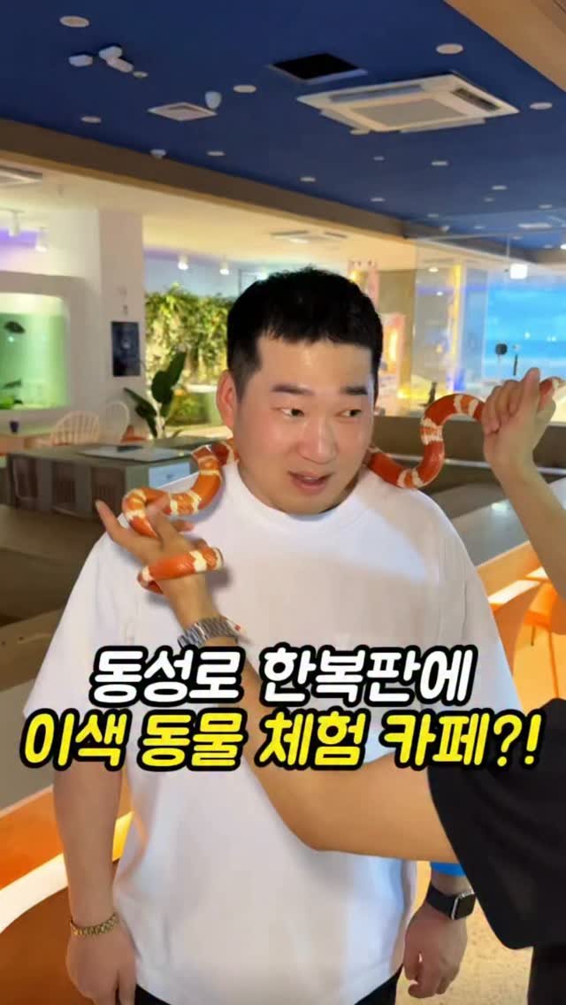mi__yummy 게시물 이미지: 동성로 한복판에 있는 미니 동물원 카페

동성로 한복판에는 12900원만 내면 쉽게...