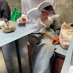 ddoddo.cc 프로필 사진