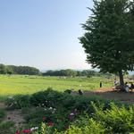 daegudelicious 프로필 사진