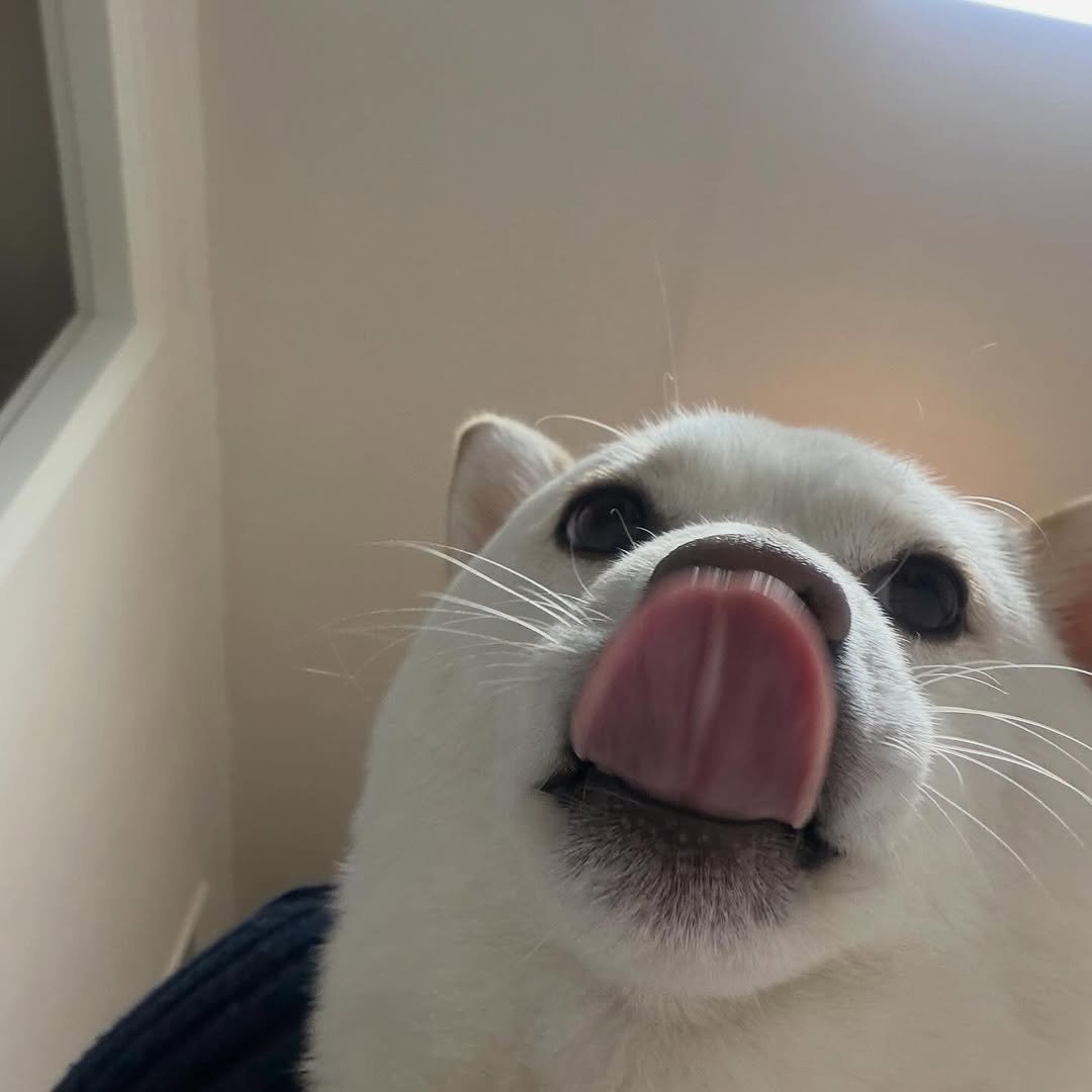 Photo by 미진이 on November 11, 2025. May be an image of text.