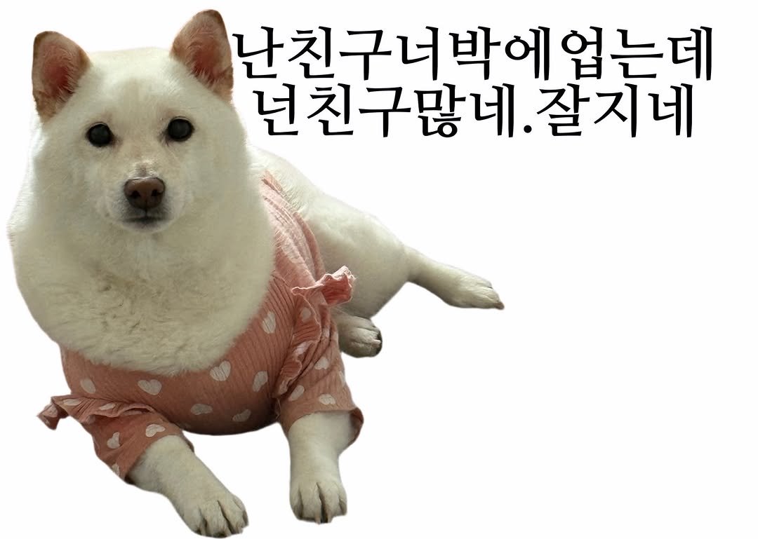 mi_gin2 게시물 이미지: 