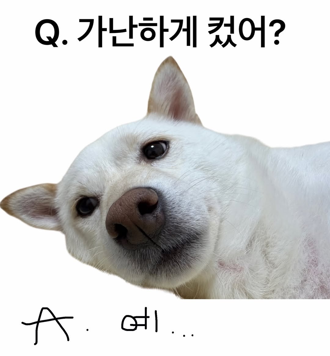 mi_gin2 게시물 이미지: 