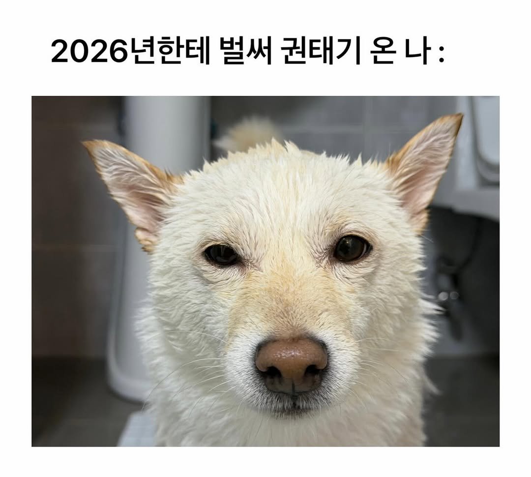 Photo by 미진이 on February 18, 2026. May be an image of animal and text that says '2026년한테 년한테 벌써 권태기 온 온나: 2026'.