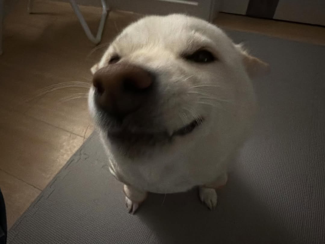 Photo by 미진이 on April 27, 2026. May be an image of text.