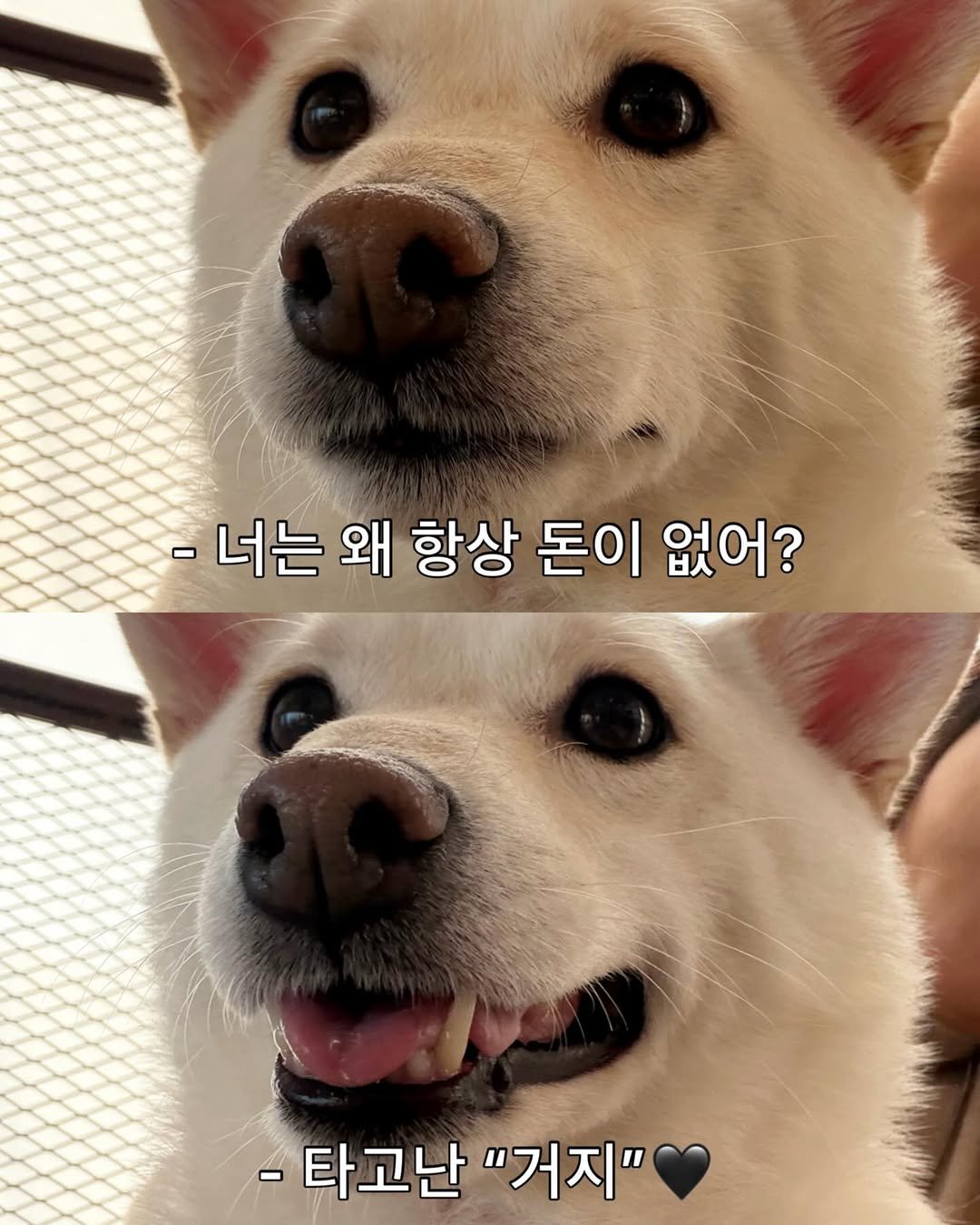 Photo by 미진이 on February 19, 2026. May be an image of text that says '너는 왜 항상 돈이 없어? -타고난 "거지"'.