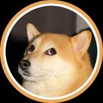 5kjinae 프로필 사진