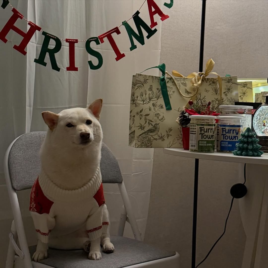 Photo by 미진이 on December 26, 2025. May be an image of text that says 'PISTMA STMA'.