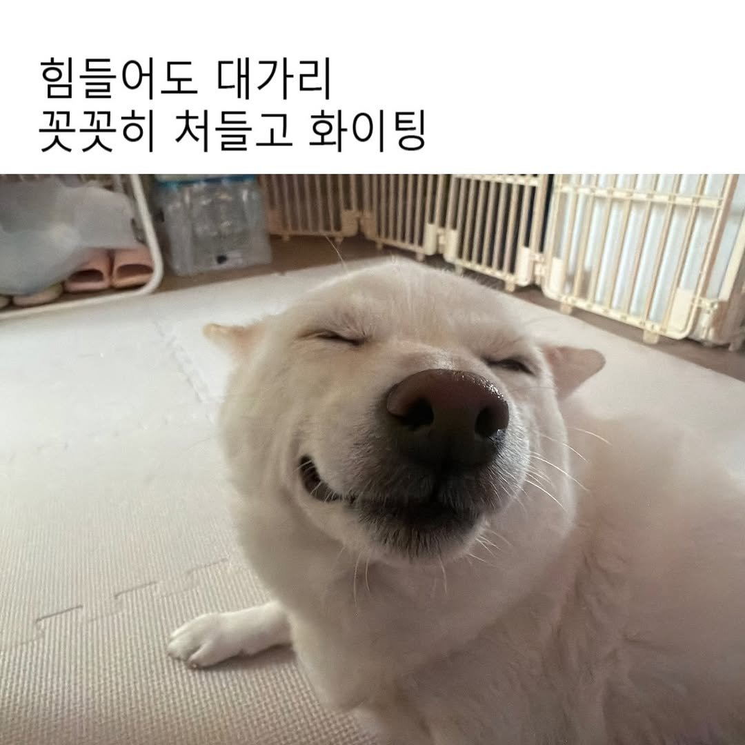 mi_gin2 게시물 이미지: 