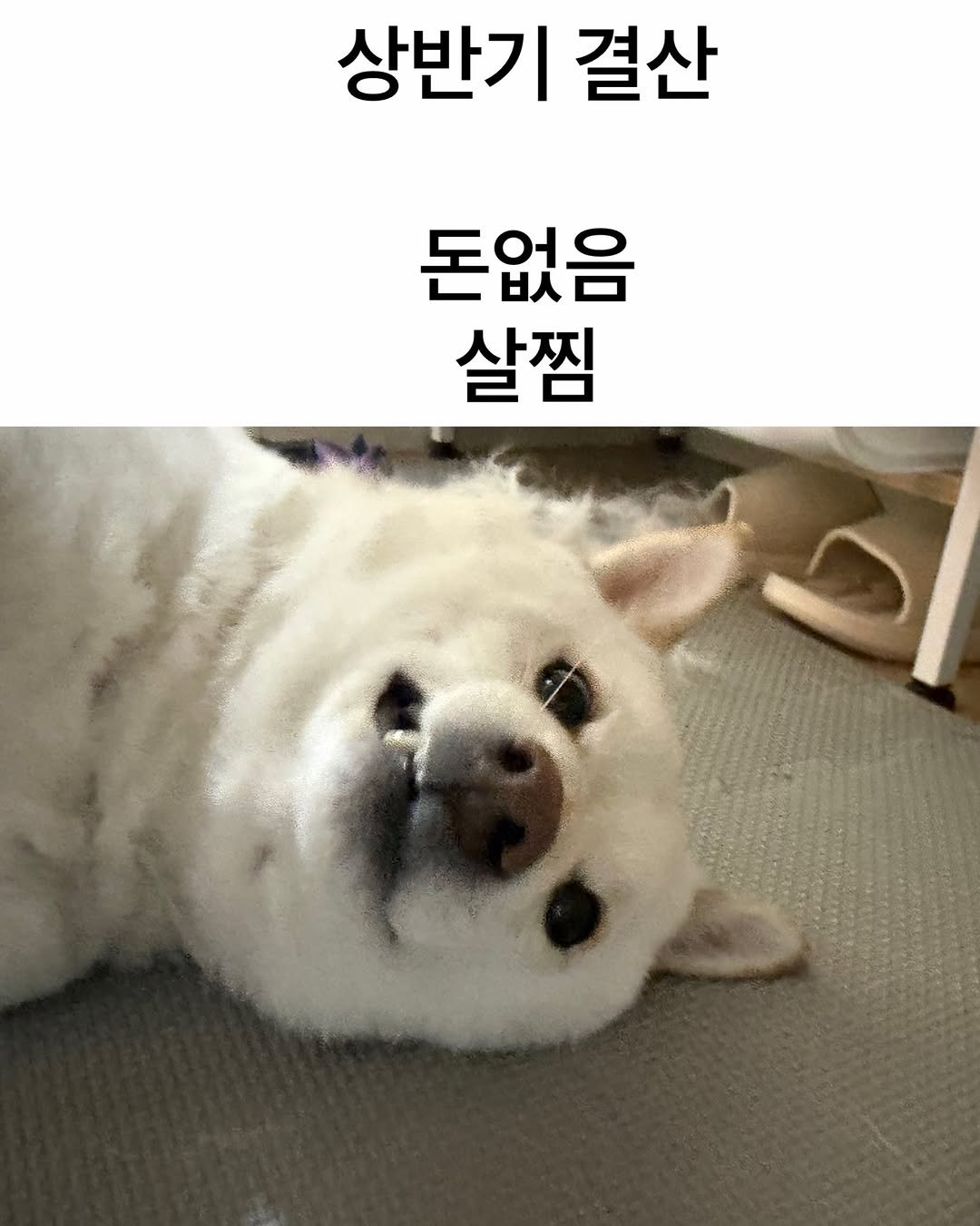 mi_gin2 게시물 이미지: 