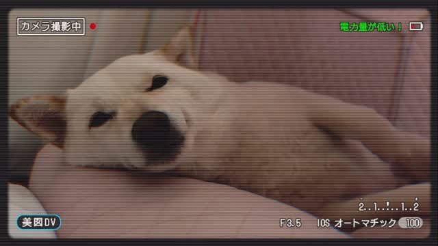 mi_gin2 게시물 이미지: 2025 유미진 결산