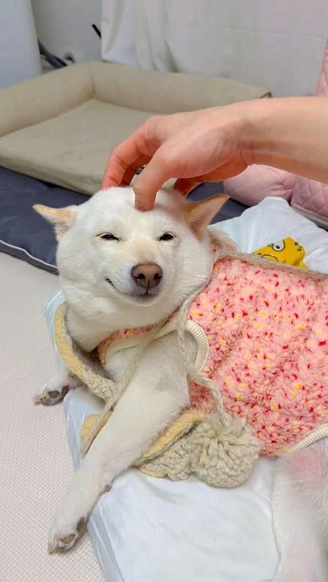 mi_gin2 게시물 이미지: 