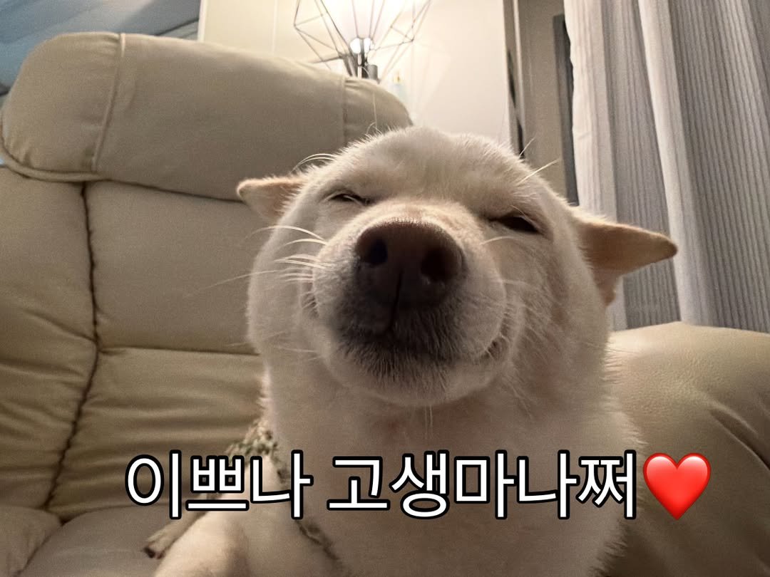 mi_gin2 게시물 이미지: 