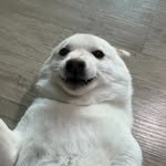 mi_gin2 인스타그램 프로필 사진