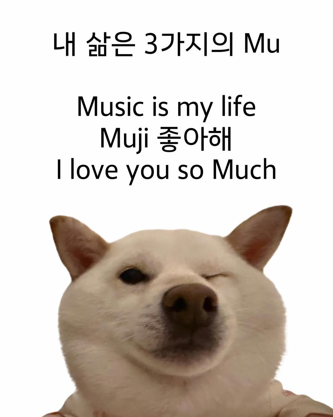 Photo by 미진이 on November 10, 2025. May be an image of musical instrument, pie and text that says '내 삶은 3가지의 Mu Music is my life Muji 좋아해 I love you so Much'.