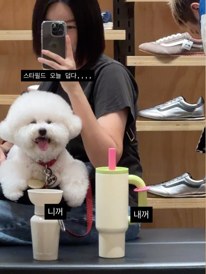 mi_ri_ma 게시물 이미지: 월요일 오전 10시 마감 됩니다

두달전부터 증말 매일매일 사용한...